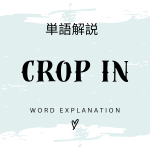 Crop In（クロップイン）とは？初心者向け勉強 | ビジネスDX検定対策