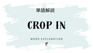 Crop In(クロップイン)とは?初心者向け勉強 | ビジネスDX検定対策