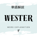 「WESTER ポイント」とは？初心者向け勉強 | ビジネスDX検定対策