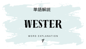 「WESTER ポイント」とは?初心者向け勉強 | ビジネスDX検定対策