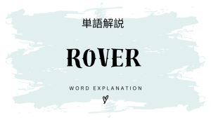Roverとは?初心者向け勉強 | ビジネスDX検定対策