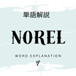 ノレル（NOREL）とは？初心者向け勉強 | ビジネスDX検定対策