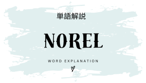 ノレル（NOREL）とは？初心者向け勉強 | ビジネスDX検定対策