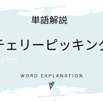 チェリーピッキングとは？初心者向け勉強 | ビジネスDX検定対策