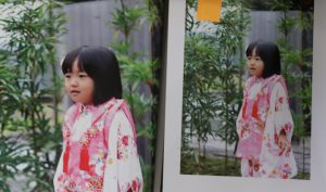 ドリームページ