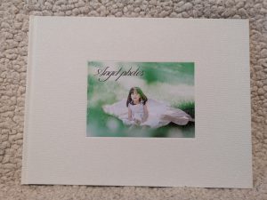 フォトレボノーブルのフォトブックおすすめ画像