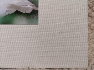 フォトレボノーブルのフォトブックおすすめ画像２