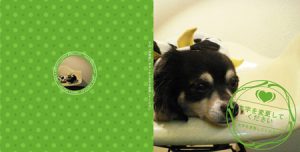 フォトブックの作り方！レイアウト先VS写真先！あなたはどっち？