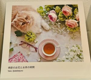 しまうまプリントのフォトブック！フォトブック作品例