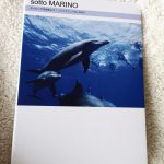 フエルフォトブックでダイビングショップのフォトブック