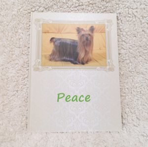 撮るだけフォトブック!愛犬のフォトブック(ペットアルバム,犬)