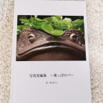 しまうまのフォトブック!詩集のようなフォトブック