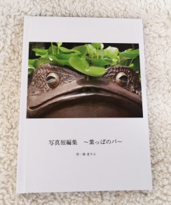 しまうまのフォトブック!詩集のようなフォトブック