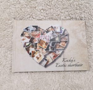 撮るだけフォトブック口コミ・感想！猫の写真フォトブック