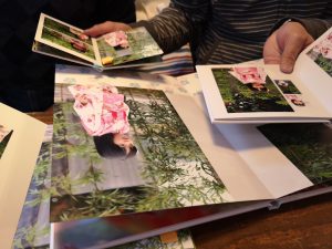 画質のいいフォトブック比較！銀塩？高画質を追及したら○○だった